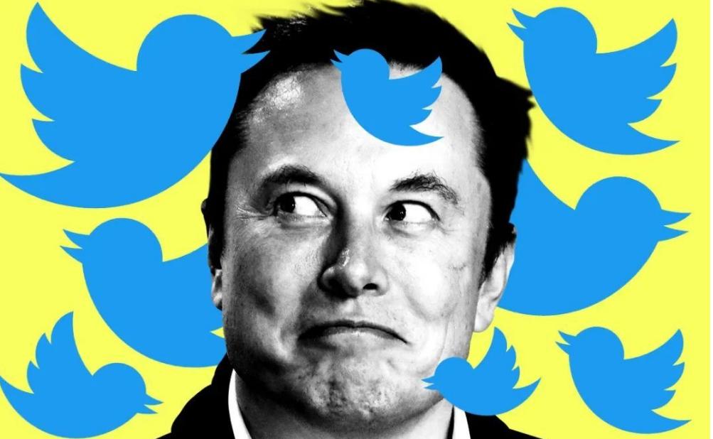 美国拼多多有多受美国人欢迎,拼多多在美国受欢迎