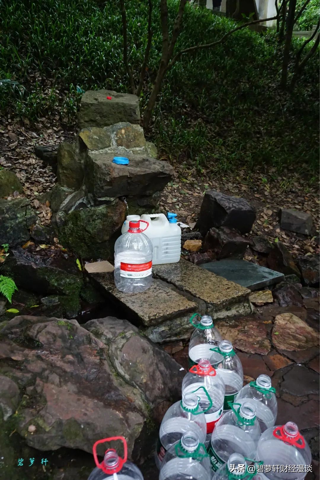 杭州虎跑公园旅游攻略,杭州虎山公园游玩攻略