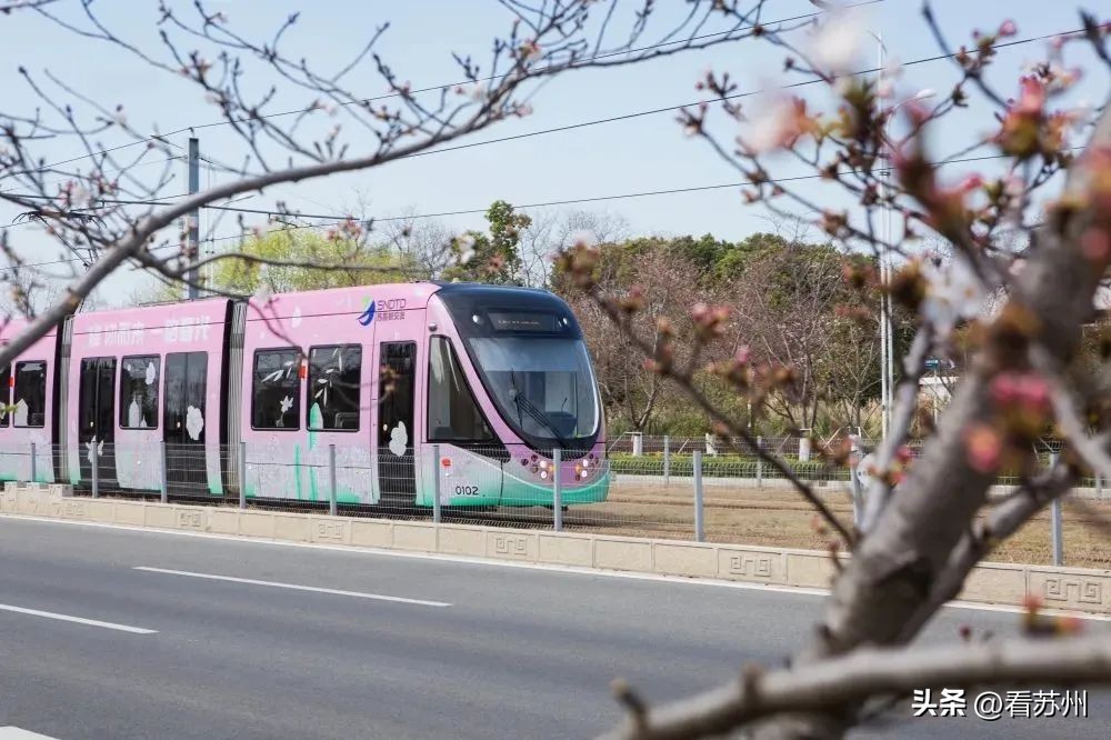 苏州赏花的地方,苏州三月中旬赏花去处