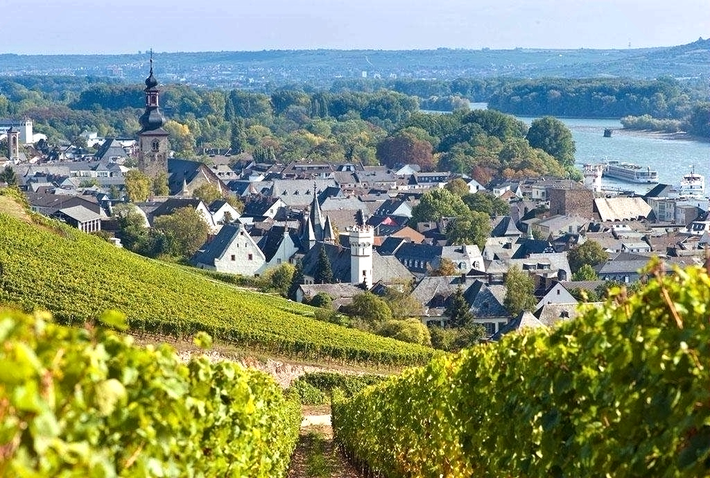 法国超级波尔多2018干红价格,波尔多批发价500元左右红酒