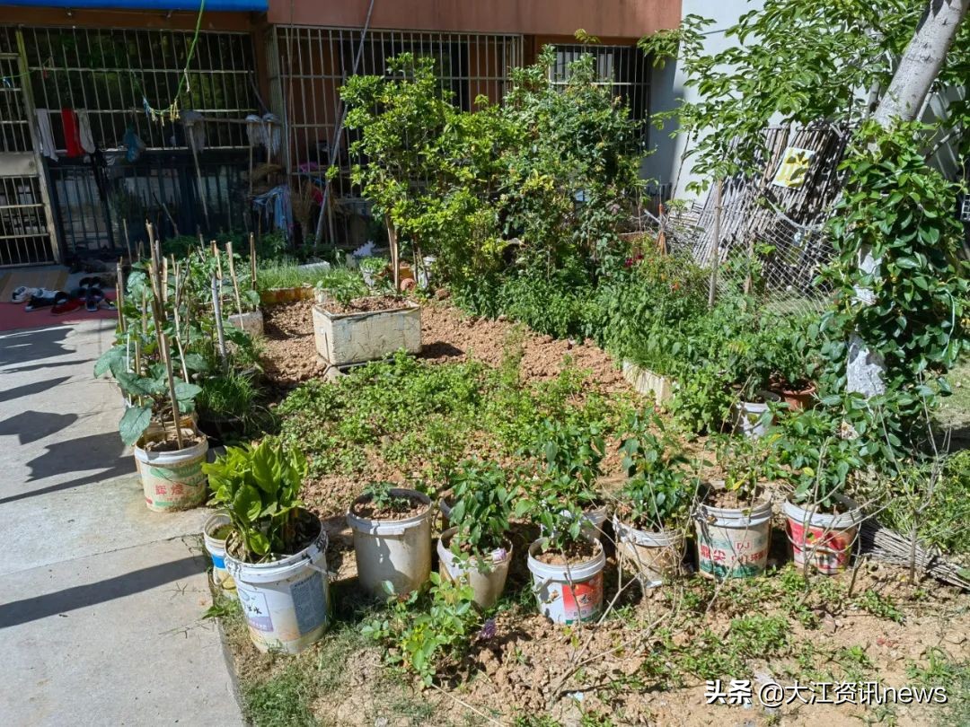 芜湖物业乱象专项整治小区名单,暗访芜湖小区物业问题比比皆是