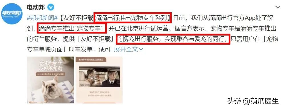 带猫网约车,带猫能打到网约车吗