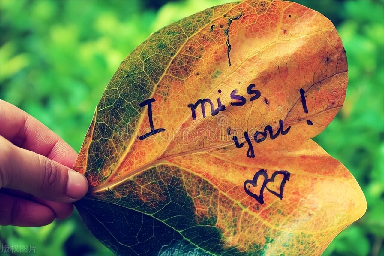 少年花季-少年暑假快乐事，青春如此美丽，少年快乐如此纯洁简单