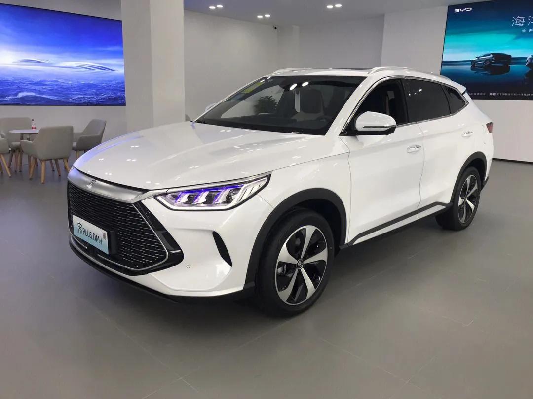 高知青年回乡创业,一位海归青年与走出大山的感悟