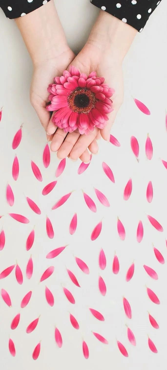 手机壁纸大全超好看动态,壁纸超清4k手机壁纸男生专用