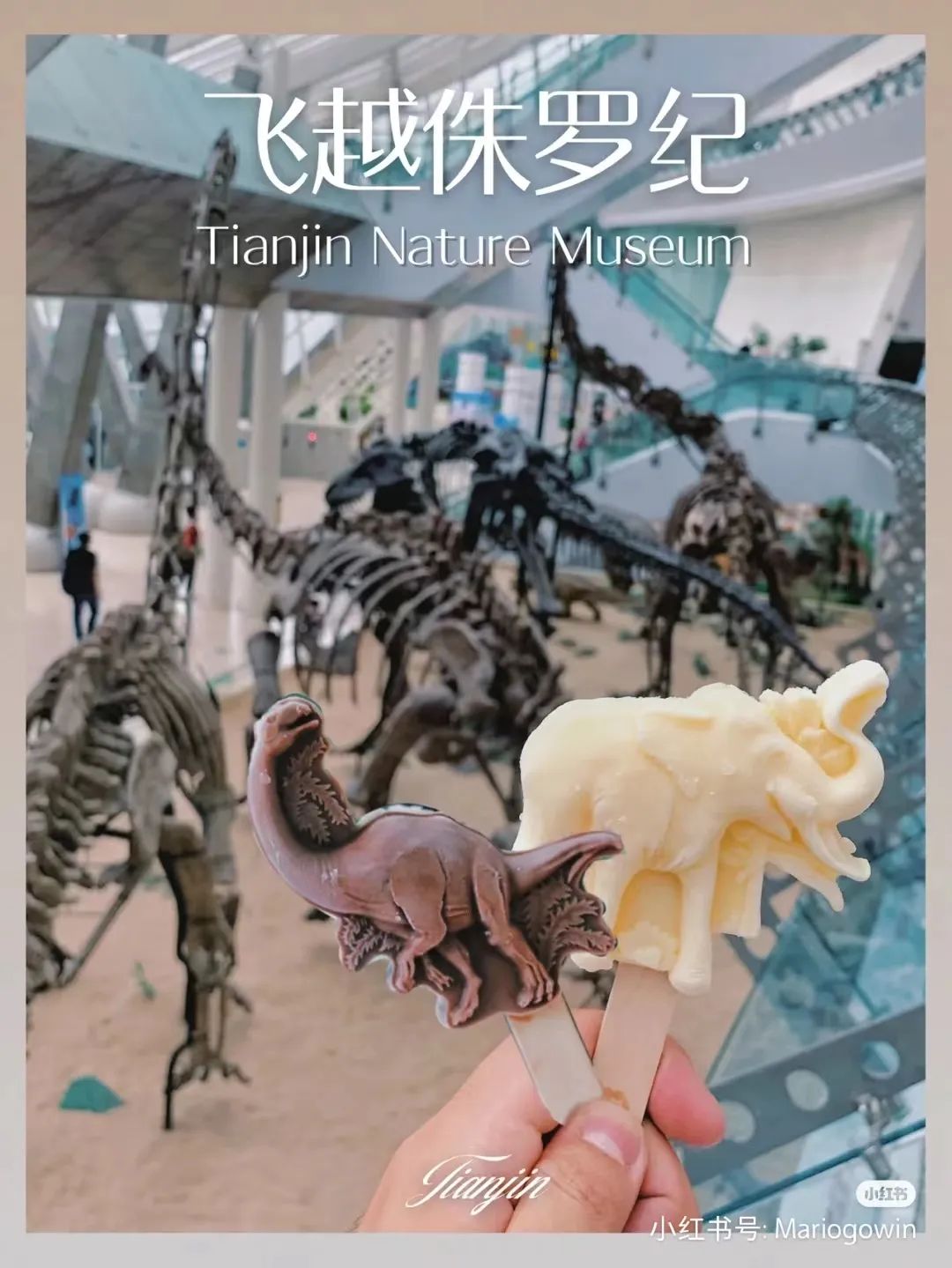 天津冬季遛娃,天津遛娃的免费公园