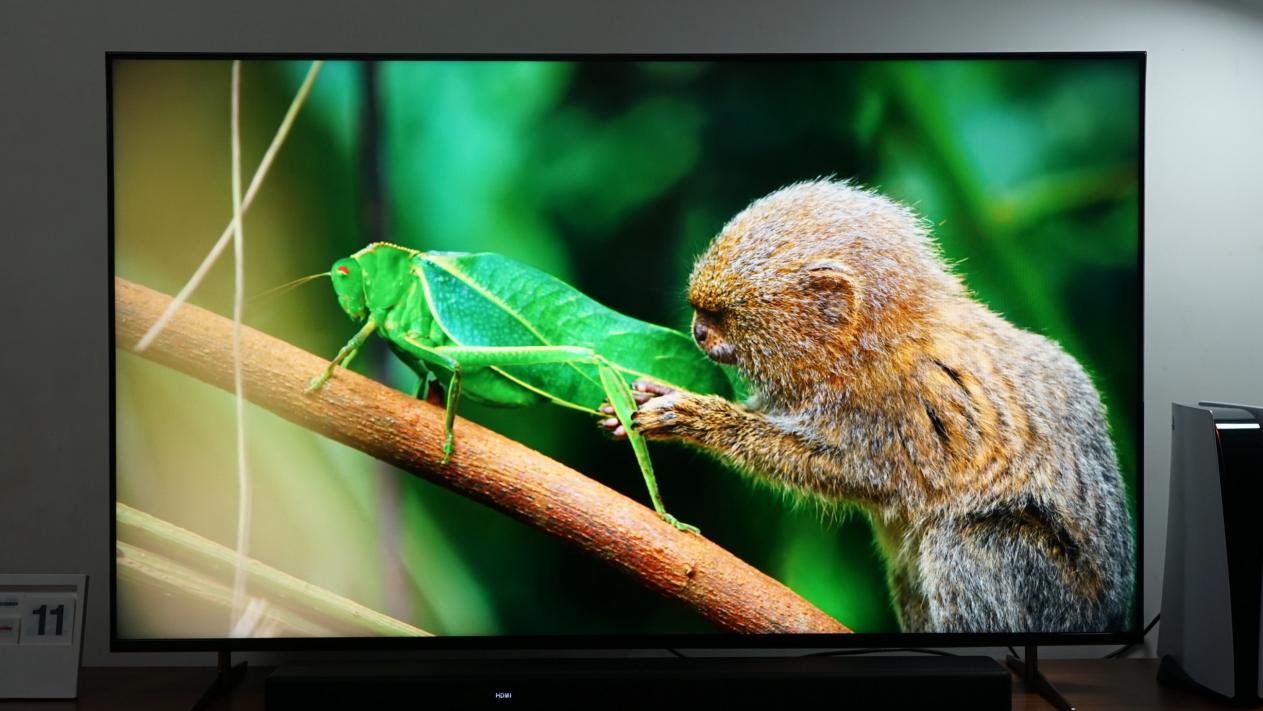 xr认知芯片大师版,Xr认知芯片是什么