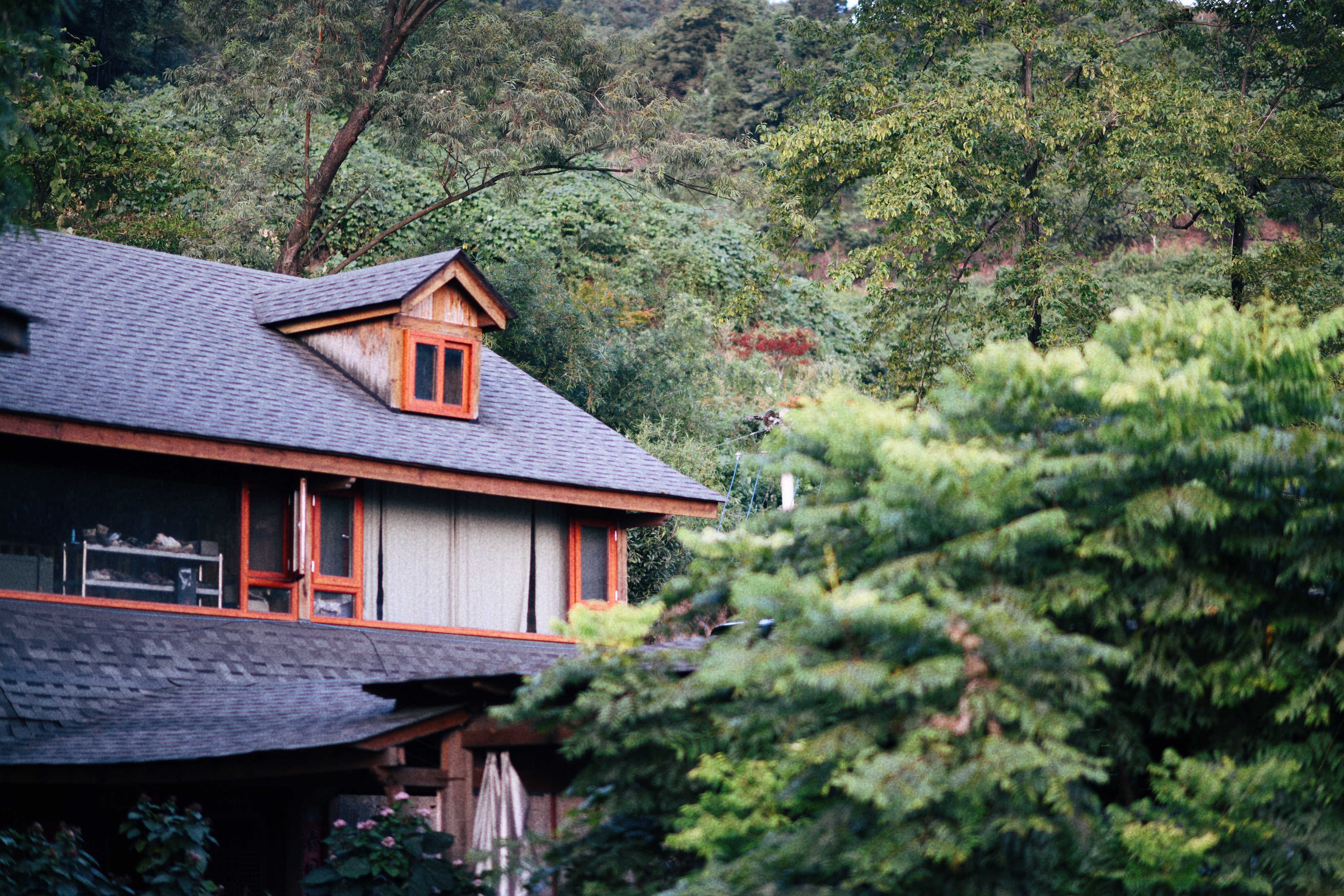 界石见山空谷民宿,巴南界石世外桃源