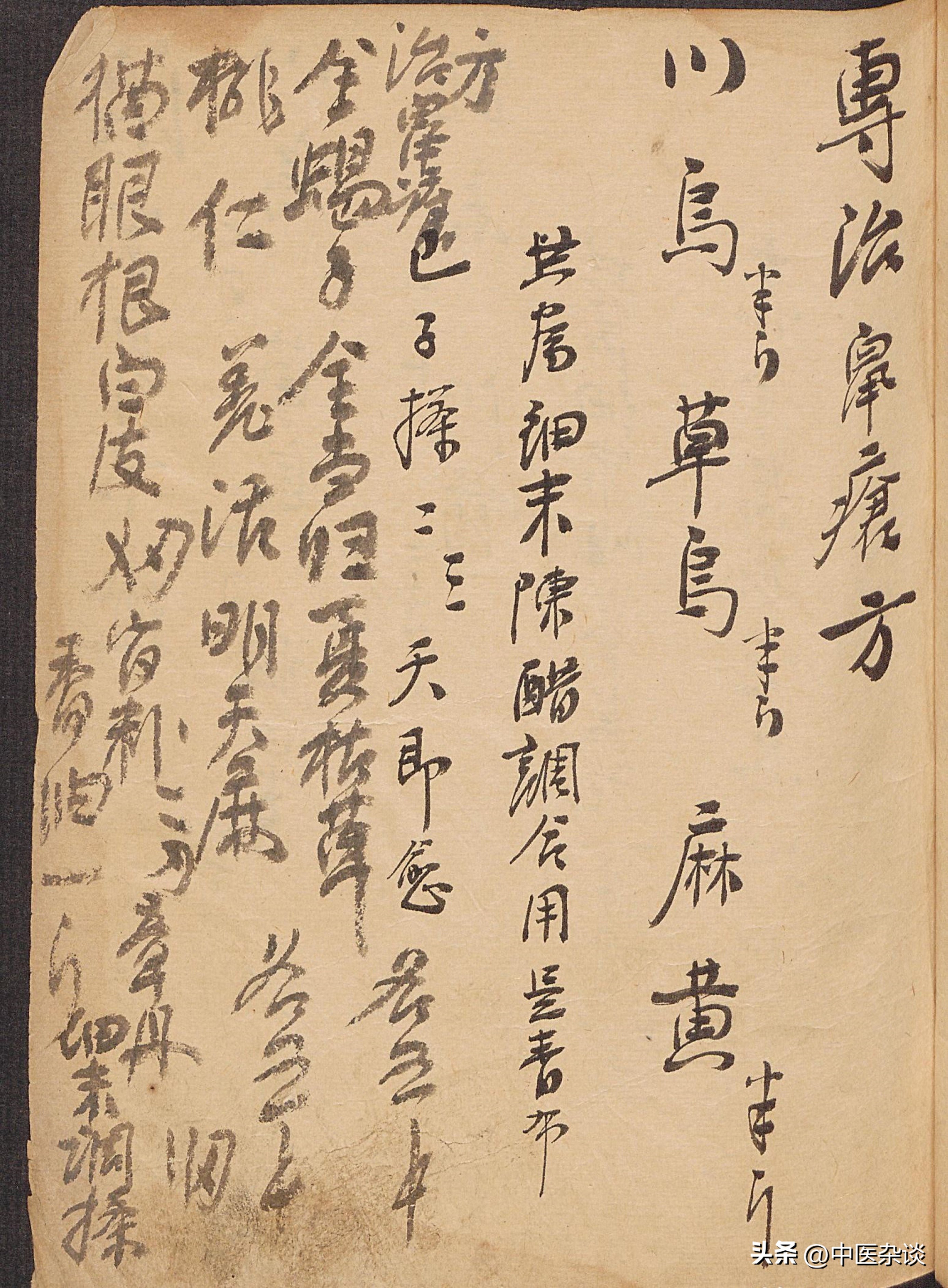 祖传秘方单方治疗百病,万病回春丹一粒见效百病全无