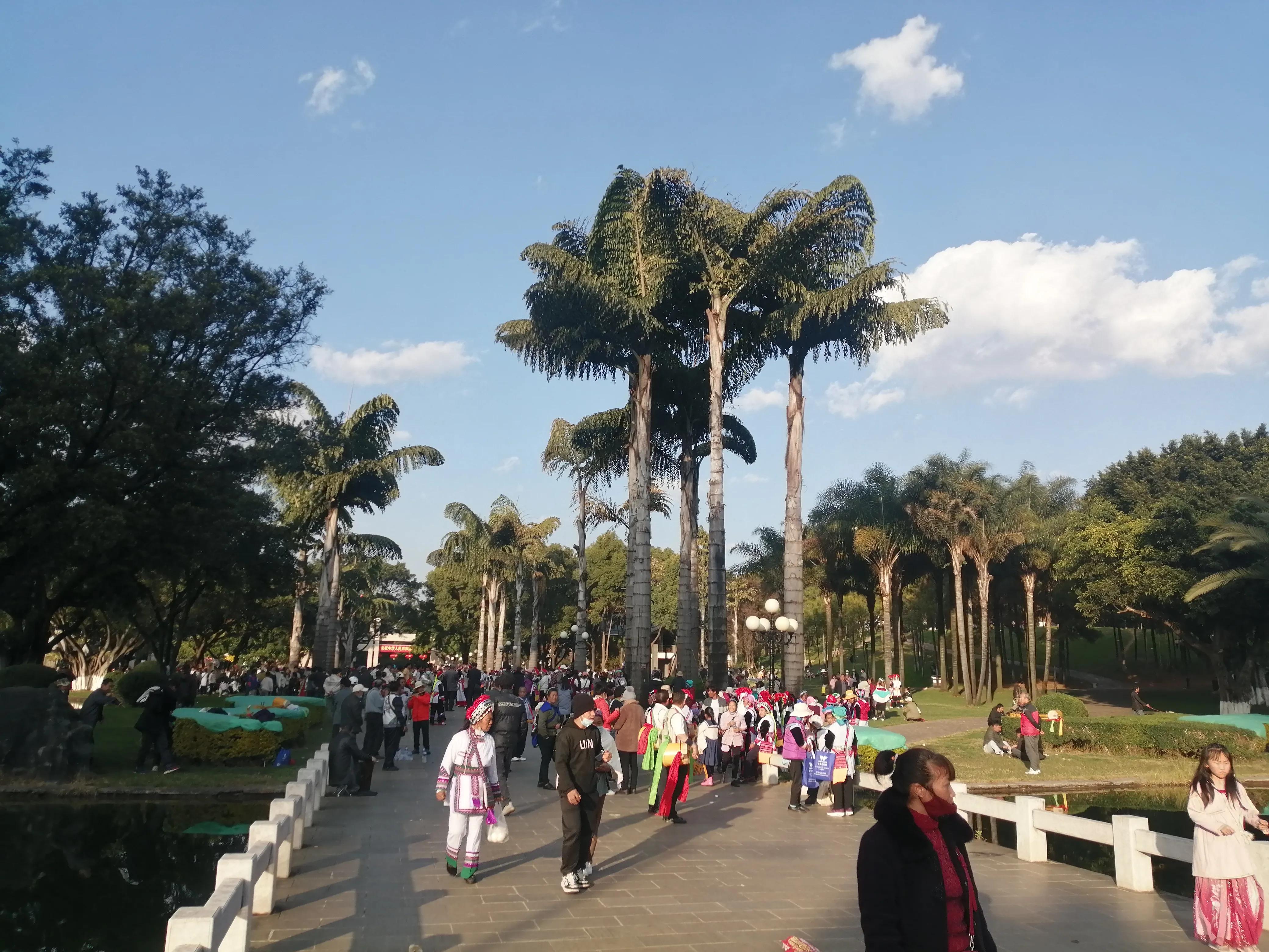 单身来云南弥勒的人，就是这样相依为命