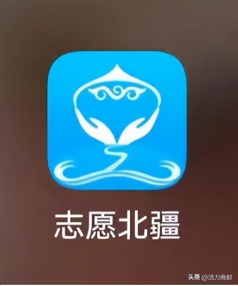 志愿者招募令完整版,志愿者招募令的密码错误怎么办