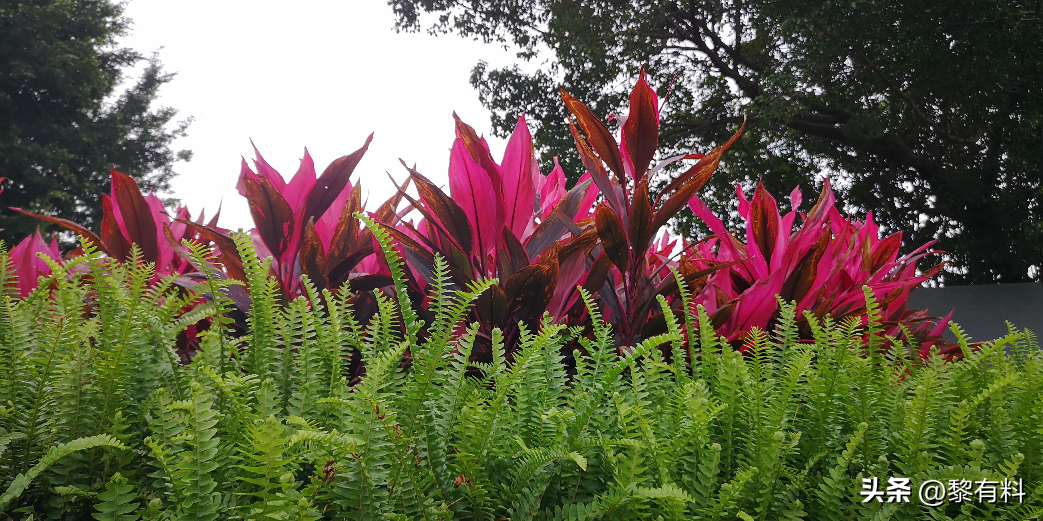 2个案例3点启示,它当然比金钱更可贵!