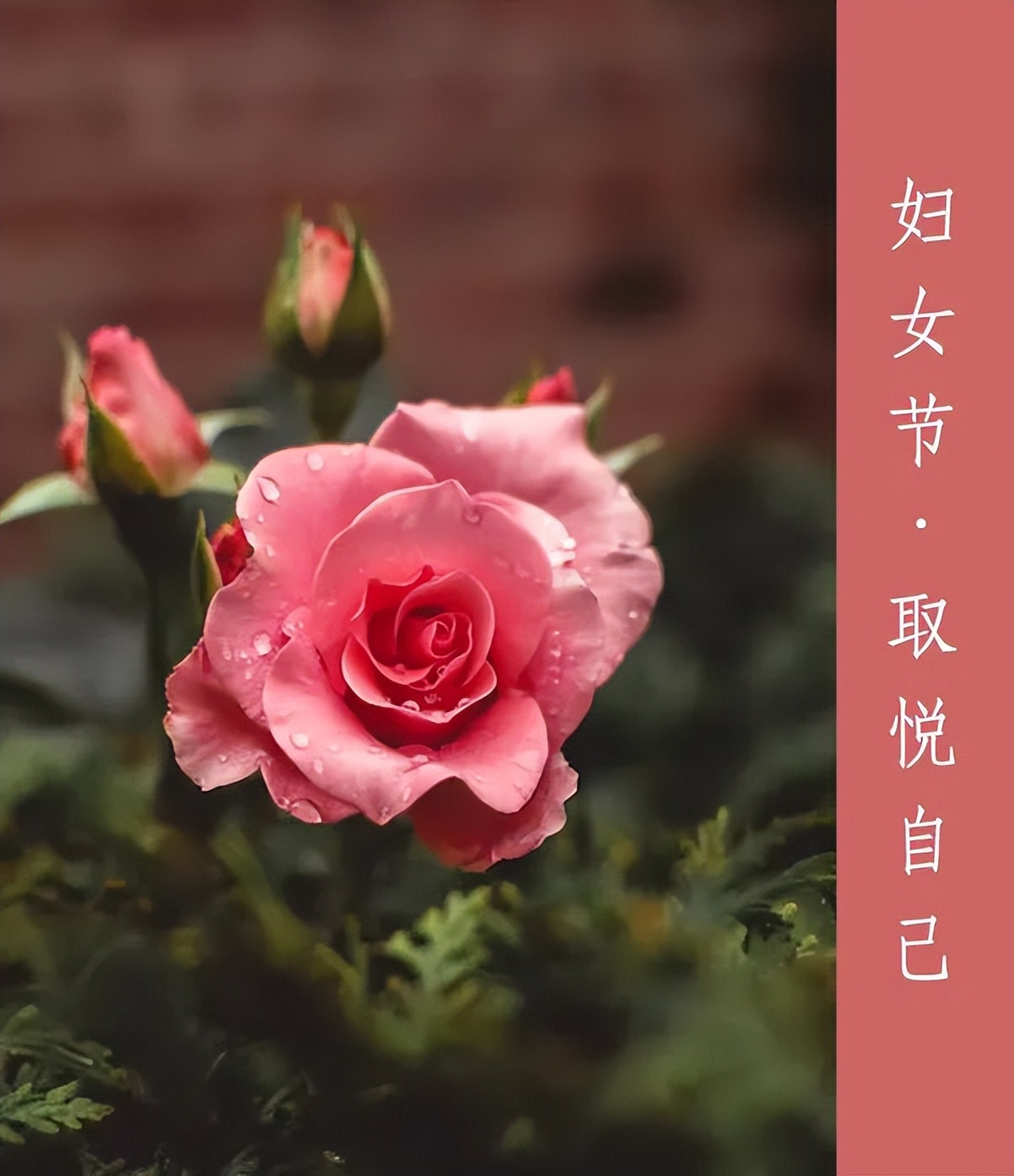三月春光如诗如画,如诗如画的三月阳春