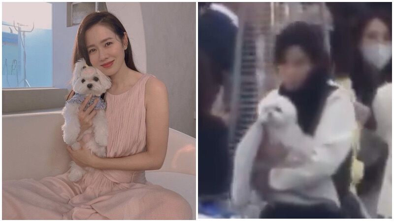 玄彬孙艺珍婚礼runningman,孙艺珍玄彬高颜值结婚名场面