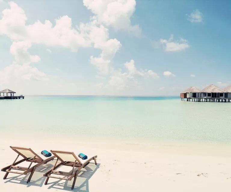 仲夏夜之梦直播间,仲夏之梦