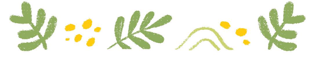 IFA优秀商业论文——《悦己芳香美学工作室商业计划书》