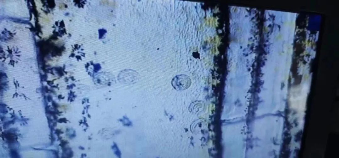 池塘水浑水浓怎么处理,池塘水浑的原因及解决方案