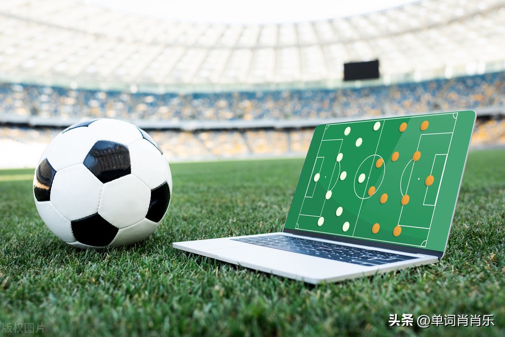 有言有味说单词30讲,有言有味说单词