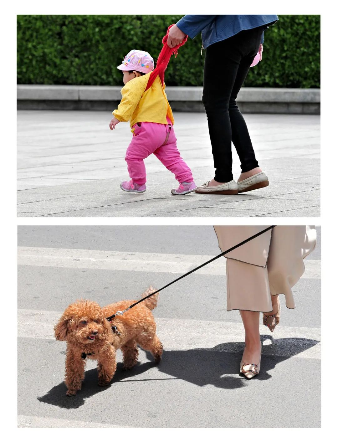 迎接党的20大美术作品,喜迎二十大乡村摄影展