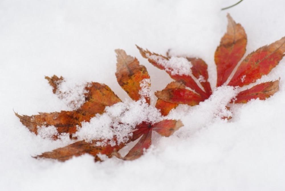 【杂谈】你这么努力用镜头记录世界的意义是什么？