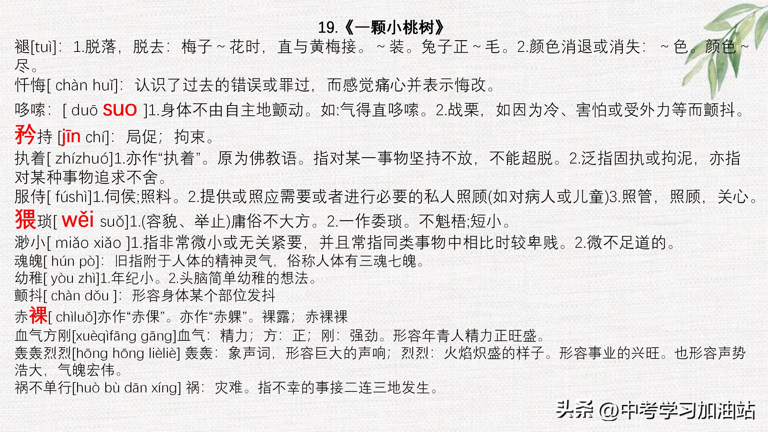 七年级期末语文必考知识点大全,七年级语文上期末考试必考知识点