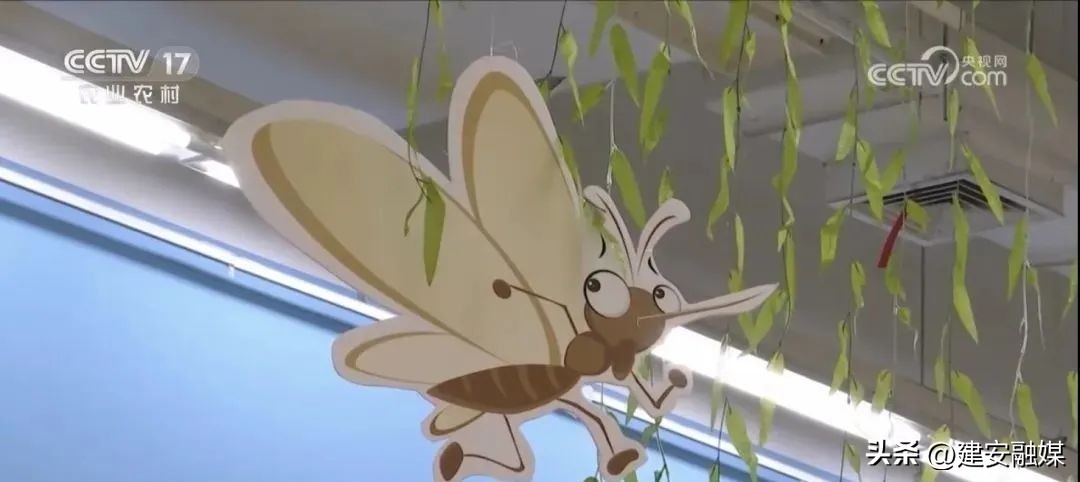 比其他人更容易被蚊子咬,容易被蚊子咬的原因是什么