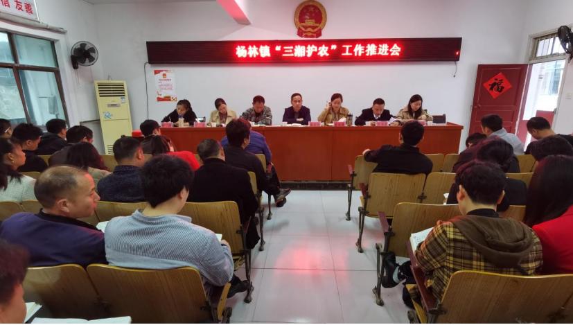 洞口县杨林镇：强化财务纪律，护好村级“钱袋子”