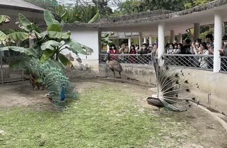 谁懂啊！回南天的养狗人家，惨过住鸡圈！pang臭！