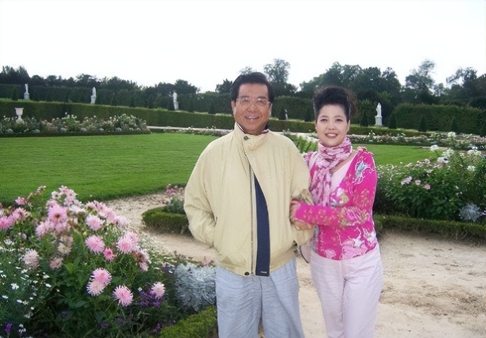 梦鸽退休金,梦鸽退休金多少钱