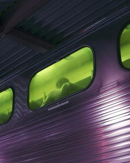 不结婚轻松过一辈子,如果不结婚你想怎么过