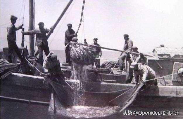 青海湖湟鱼濒临灭绝的原因,为什么青海湖的湟鱼需要拯救