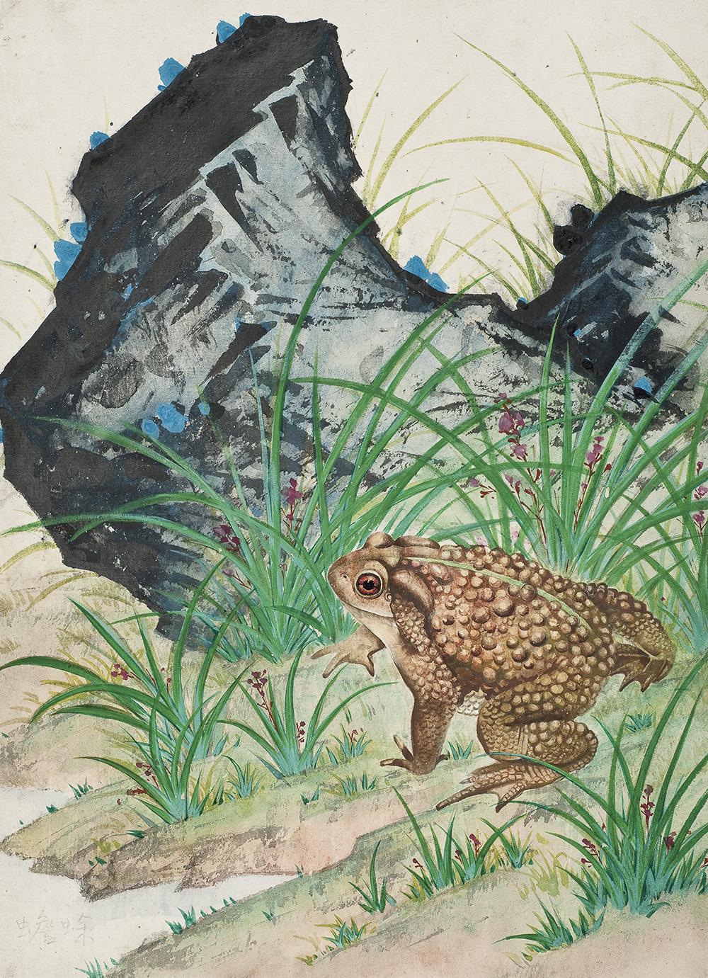 太原市迎泽区：区科技局联合区委宣传部、区科协和迎泽街道共同举办中草药图谱线上展览（动物篇）