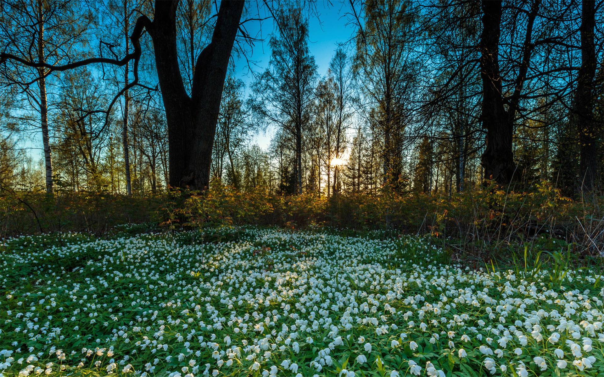 浮躁的时代读书怎么样,浮躁的年代诗歌