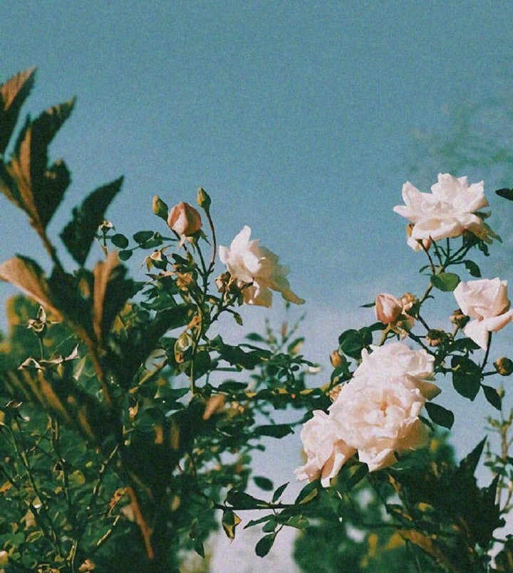 天道酬勤的头条,天道酬勤头条