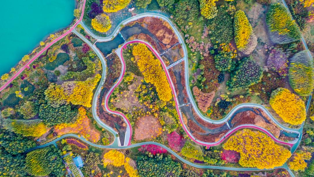 为什么张掖是玉米制种基地,张掖舰为什么用张掖命名