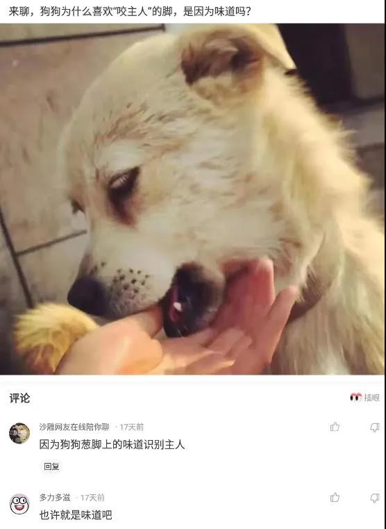 室友新买的蚊帐怎么感觉怪怪的,为什么刚买的蚊帐总感觉哪里不对