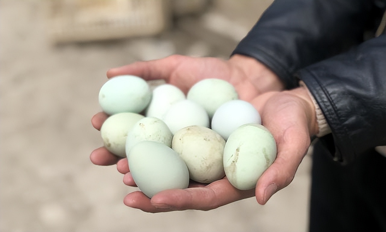 315曝光食品名单都有哪些,315食品品牌上黑榜