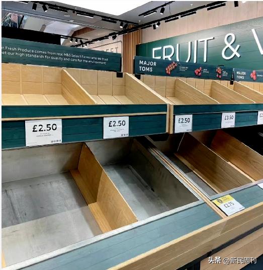 台湾为什么鸡蛋短缺,台湾蛋荒最新情况