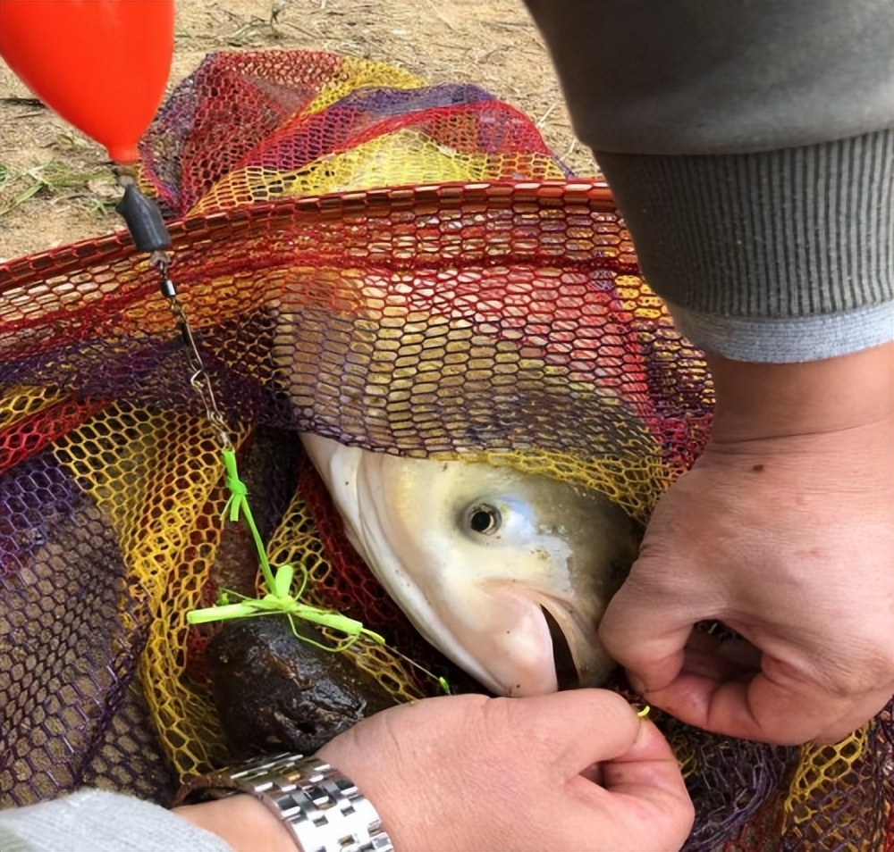 惠州适合踏青游玩的地方推荐,博罗适合春游踏青