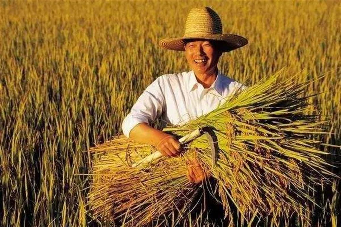 资本下乡了农民怎么办,资本下乡到底是好事还是坏事