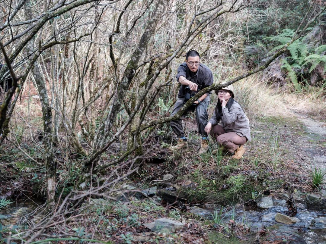 关于顶流如何崛起,曾经的顶流真的过时了吗