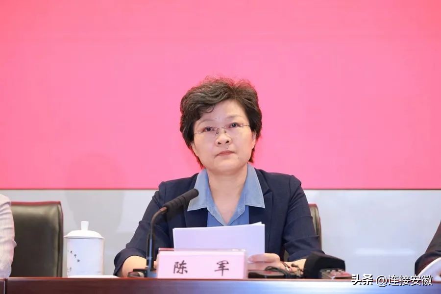 安徽十年企业投资,安徽民生领域成就