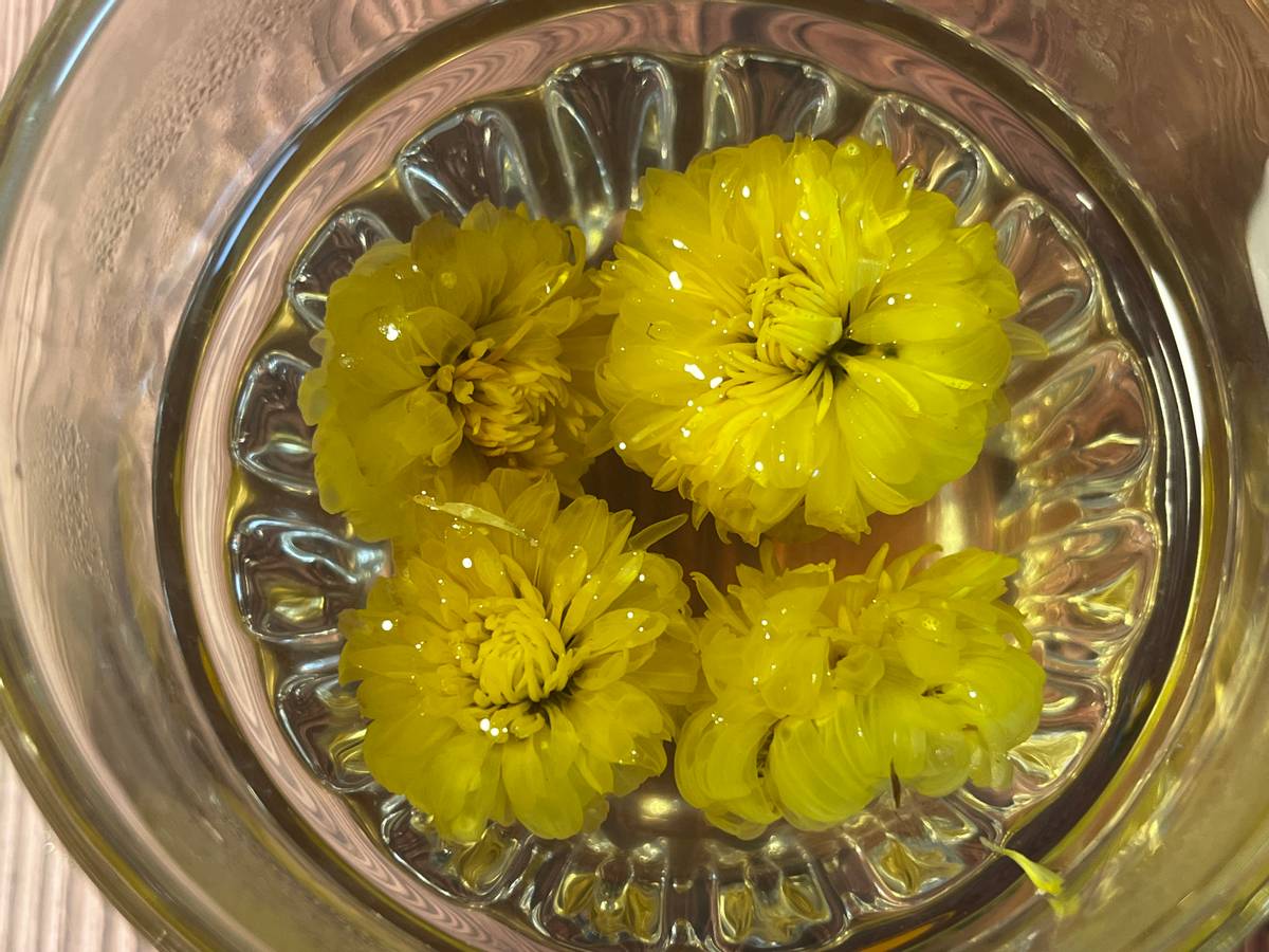 爱喝菊花茶但是菊花寒凉怎么解决,爱喝菊花泡枸杞