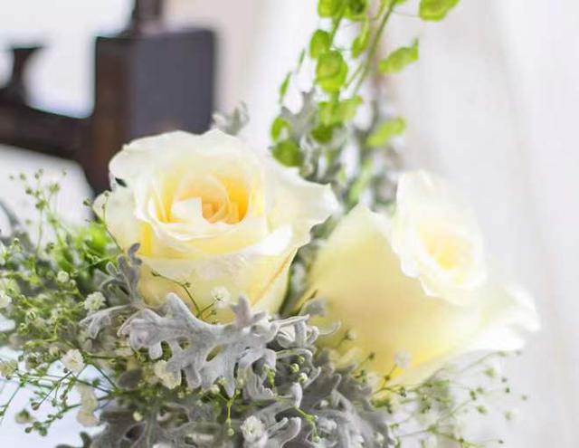 成年人用的聊天工具,成年人聊天工具