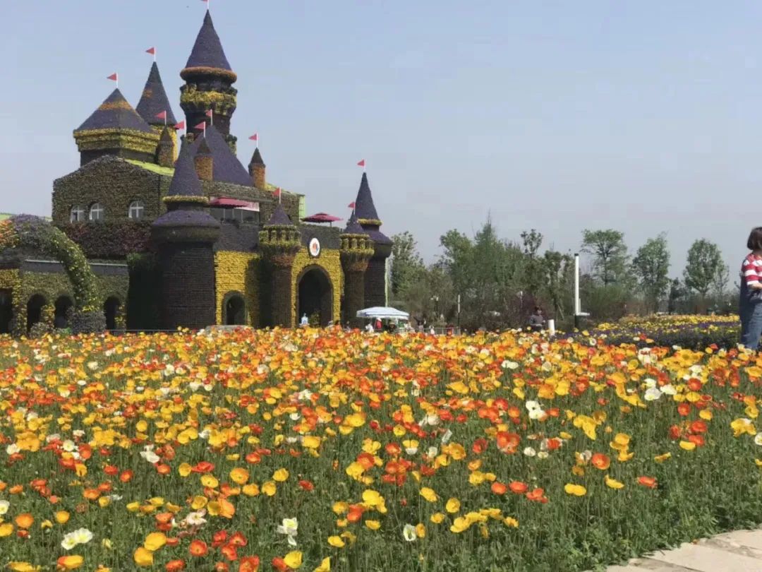 乡村振兴和巩固脱贫攻坚典型案例,人民网2022年乡村振兴示范案例