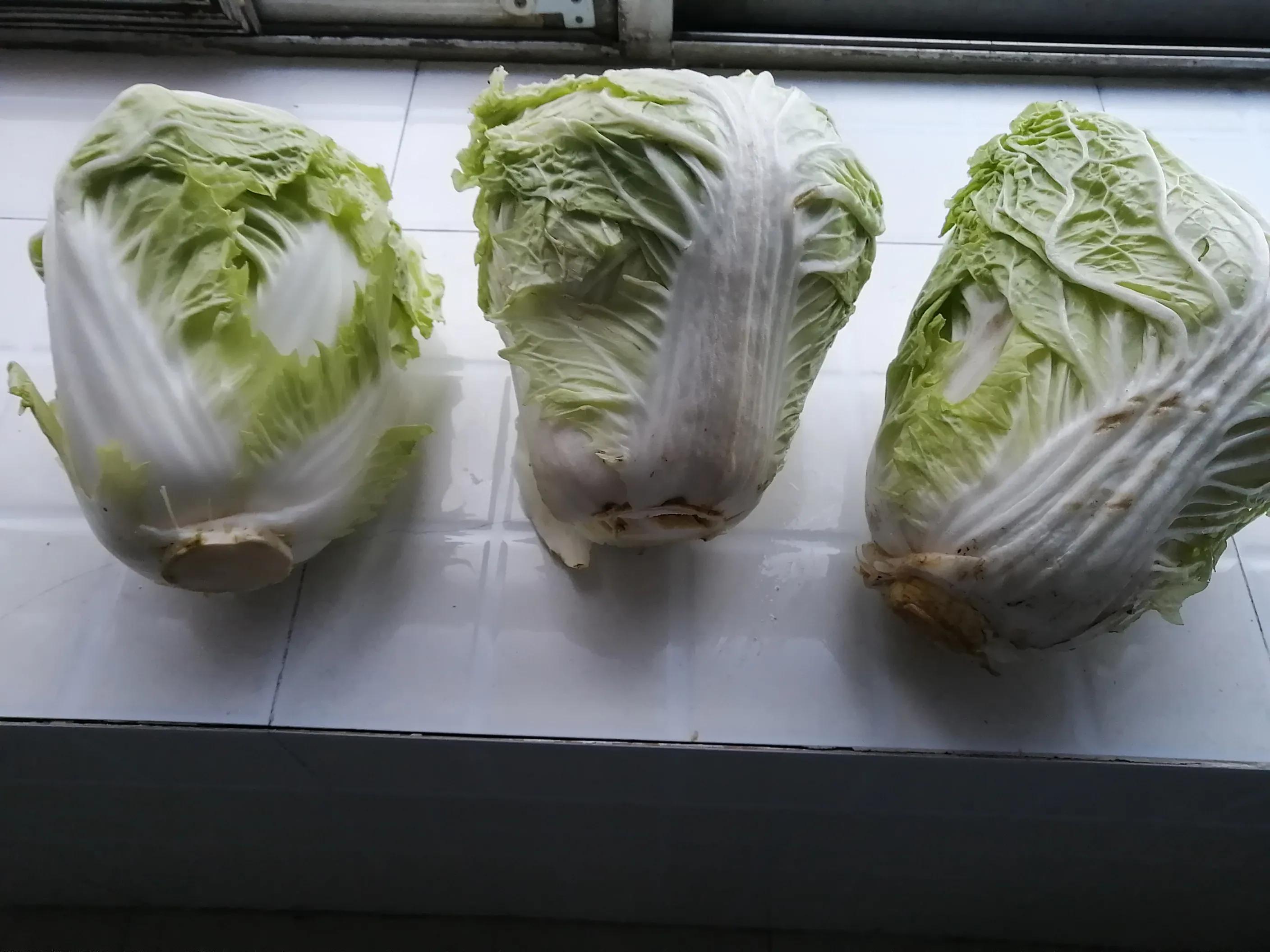 卖白菜赚钱的案例,为什么老人卖菜挣钱