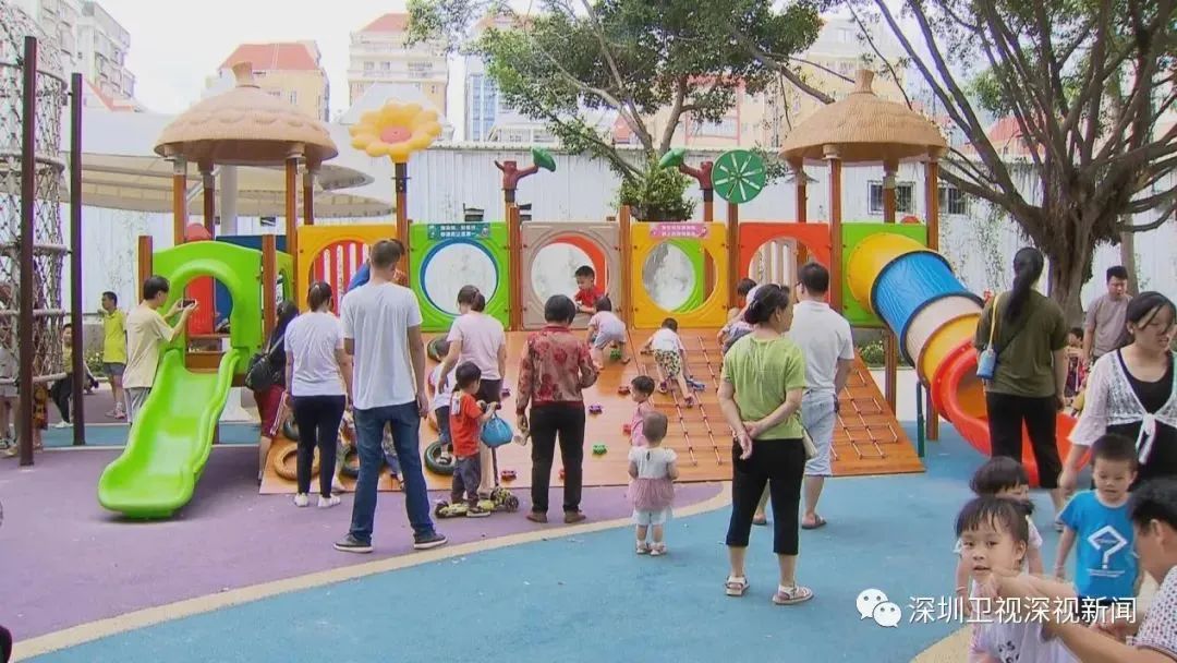 深圳市2024年度十项民生实事出炉,深圳2019民生微实事项目库