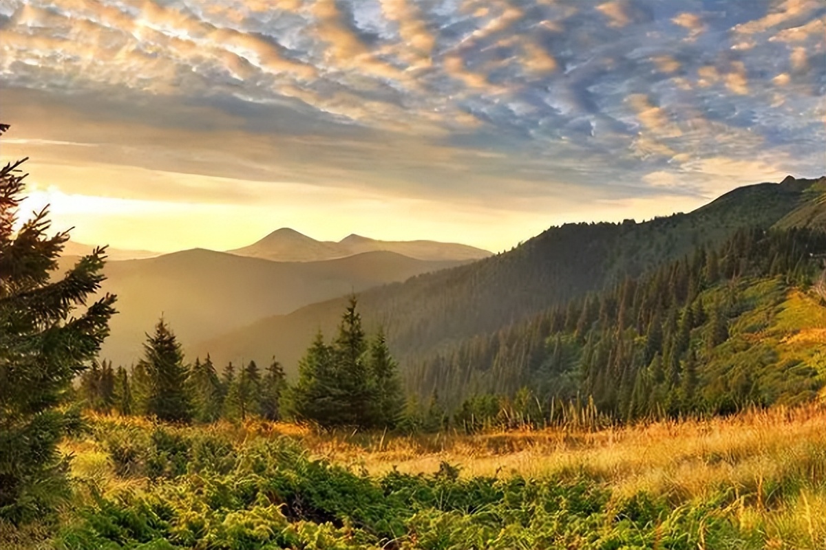 女人对男人过度精神依赖什么表现,当女人对你精神依赖是什么表现