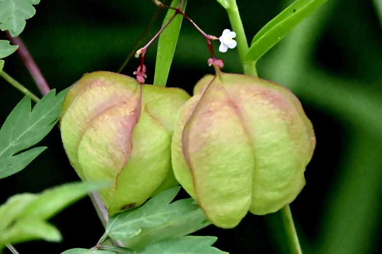 人走霉运什么事都会发生,人走运前有哪些霉运预兆