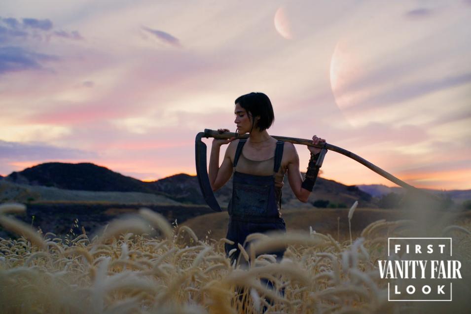 犯罪都市3马东锡电影正片,犯罪都市3马东锡高清版全网在线